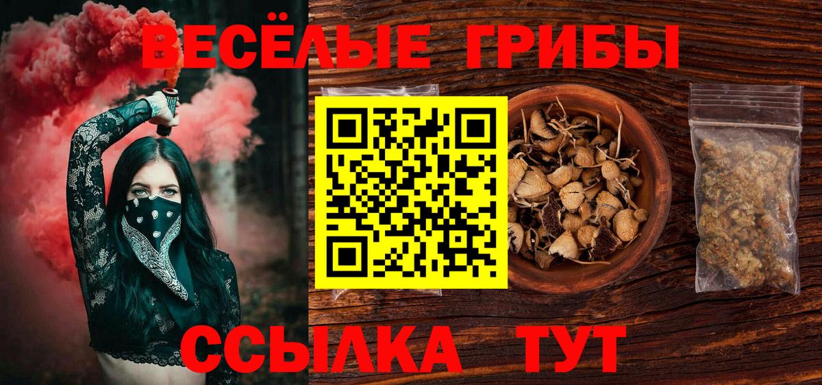 Галлюциногенные грибы Psilocybe  Вход с VPN  Алапаевск 